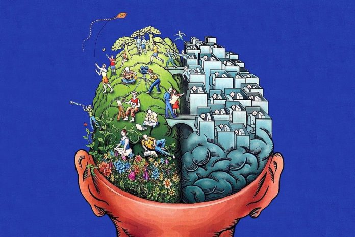 How-our-memory-works